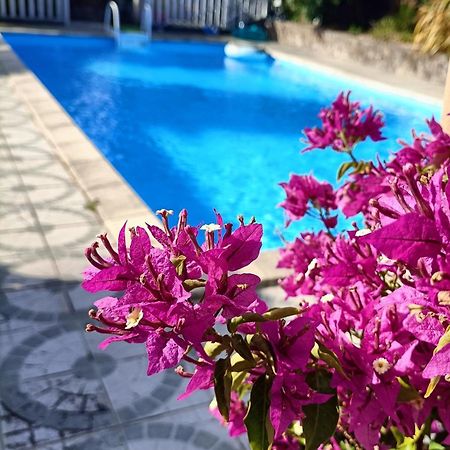 Mortagne-sur-Sevre Les Bichettes Bed & Breakfast エクステリア 写真