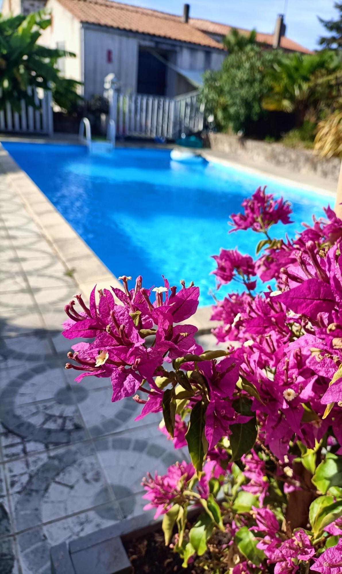 Mortagne-sur-Sevre Les Bichettes Bed & Breakfast エクステリア 写真